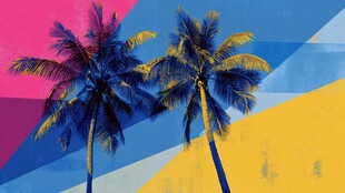 彩色背景下的两棵棕榈树