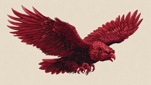 红色雄鹰展翅翱翔