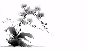 水墨兰花图