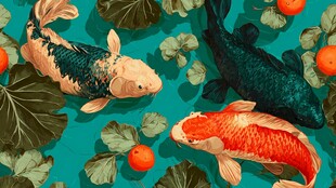 水中锦鲤伴荷叶与果实