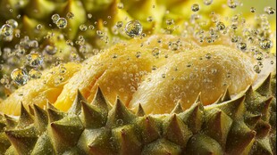 榴莲果肉在水中的美妙瞬间