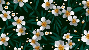 绿叶白花清新花卉图案