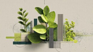 绿植与几何元素创意组合