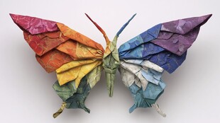 彩色折纸蝴蝶 精致艺术品