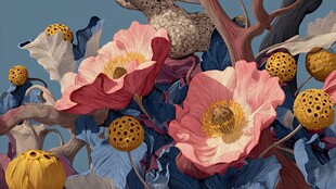 梦幻花卉与奇异果实景观