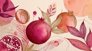 石榴插画 缤纷果实与花叶