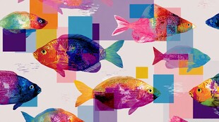 多彩鱼群与几何图案背景