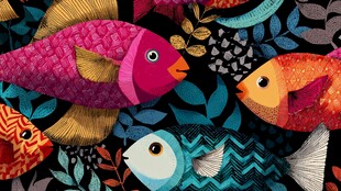 缤纷多彩的海底鱼群世界