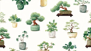 手绘盆栽植物图案集合