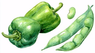 水彩绘青椒与豌豆