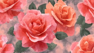 水彩风粉色玫瑰花卉图案