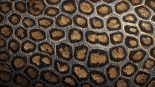 仿鳄鱼皮纹理皮革材质