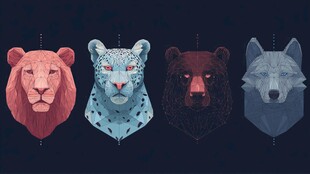 四兽头像 狮豹熊狼大赏