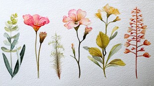 手绘清新花卉植物集合