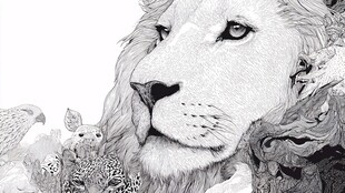 狮子与伙伴们的黑白图景