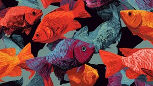 多彩金鱼图案设计