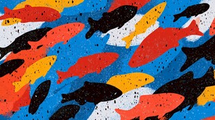 群鱼畅游的多彩艺术画面