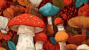 奇幻森林中的多彩蘑菇世界