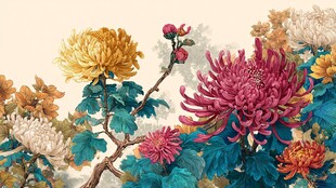 缤纷多彩菊花绽放图