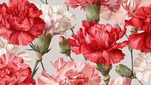 鲜艳多彩康乃馨花卉图案