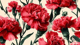 红色康乃馨花卉图案背景
