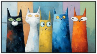 五彩猫咪的趣味集合