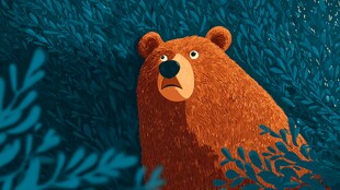 森林中表情惊讶的棕熊