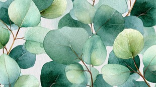 清新桉树叶水彩图案