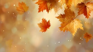 秋日枫叶飘落梦幻场景