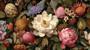 缤纷花卉汇聚的绚丽图景