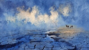 干旱大地的生灵与荒芜