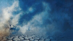 梦幻迷雾中鹿行干裂大地