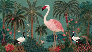 热带丛林中的火烈鸟与鹤