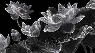 黑白水墨风莲花雅致图