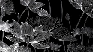 黑白水墨风莲花图案