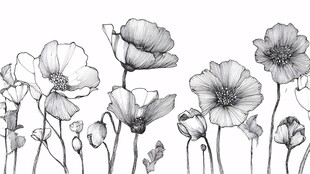 黑白手绘风罂粟花图案