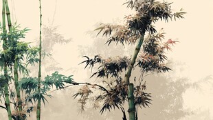 水墨风竹林景致