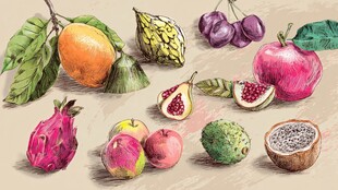 手绘缤纷多样新鲜水果图