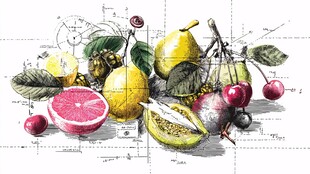 手绘多彩水果静物组合