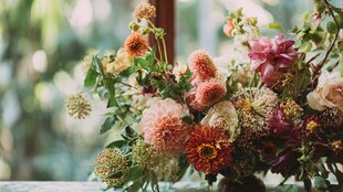 多彩花卉组合的自然之美