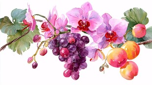 水彩绘花卉果实组合图