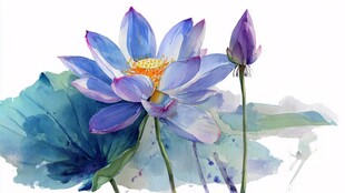 水墨风蓝紫色荷花图