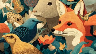 森林中的动物伙伴们