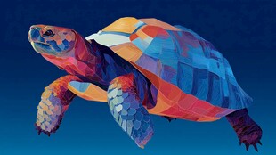 彩色几何风海龟艺术插画