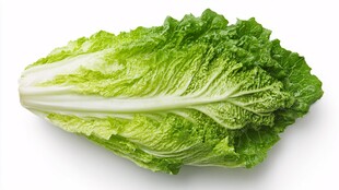 一颗新鲜的生菜