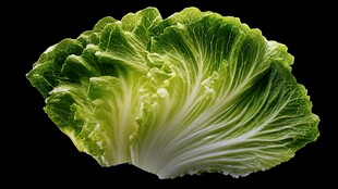 新鲜翠绿的大白菜叶片