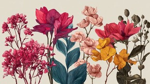 多彩花卉插画 绽放自然之美