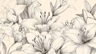 手绘百合花黑白花卉图案