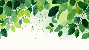 绿叶背景图 清新自然风