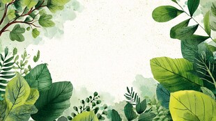 清新绿植背景图